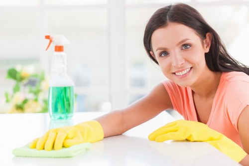 Greenwich Cleaner service team preparing for a cleaning appointment