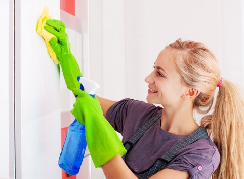 Professional window cleaning in Greenwich on a residential property