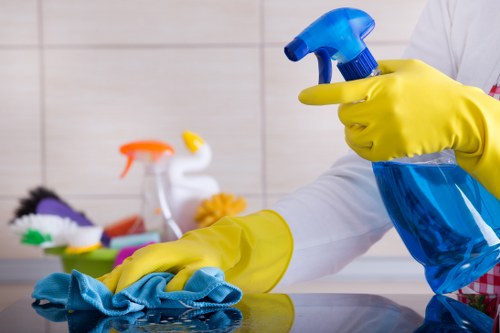 Professional cleaner in Greenwich working in a modern home