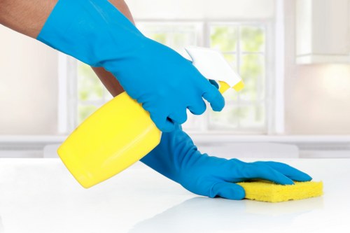 Eco-friendly house cleaning tools for Greenwich residences