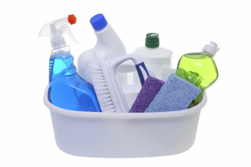 Professional Greenwich cleaner maintaining a spotless living space