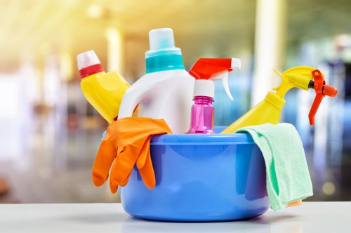 Greenwich cleaner performing deep cleaning in a modern room