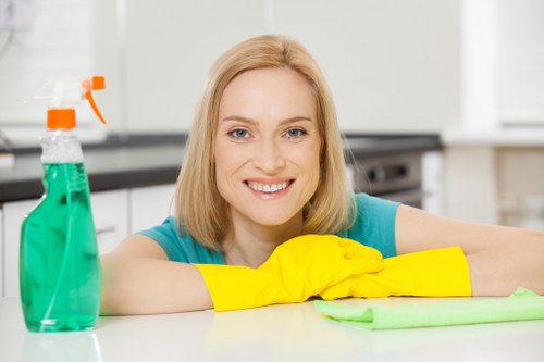 Trusted Greenwich cleaning expert preparing a polished environment