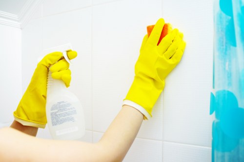 Deep cleaning a wool rug to remove dirt and allergens in Greenwich