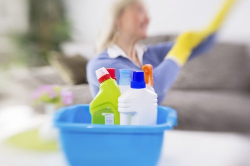 Bathroom deep cleaning in Greenwich home