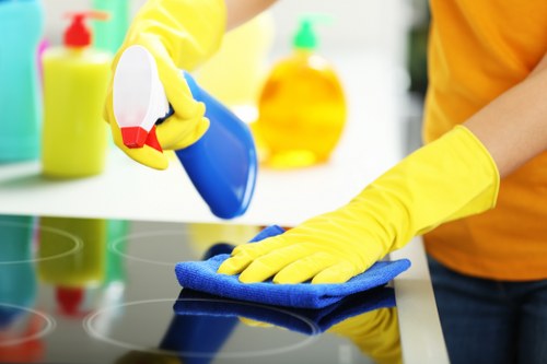 Professional one off cleaning in a Greenwich home