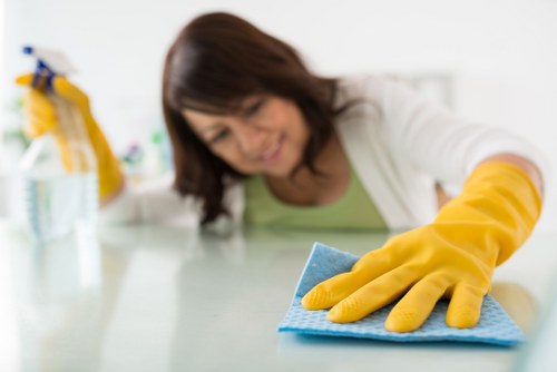 Window and facade cleaning services in Greenwich