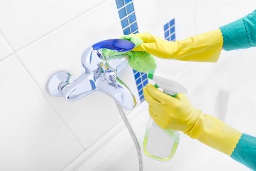 Professional cleaner in Greenwich working on a well-maintained interior