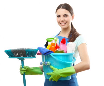 Deep carpet cleaning process in a Greenwich home interior
