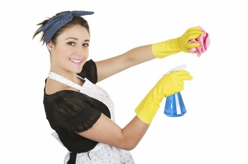 Deep upholstery cleaning service for chairs in Greenwich