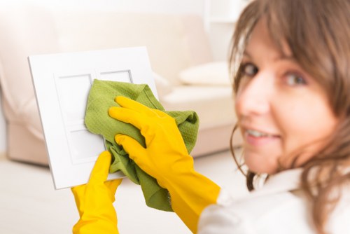 Specialist oven cleaning tools used in Greenwich kitchen maintenance