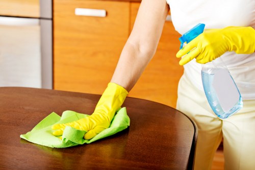Detailed cleaning of a Greenwich apartment interior
